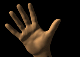 Hand.gif (18313 bytes)